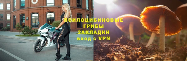 jwh Гусев