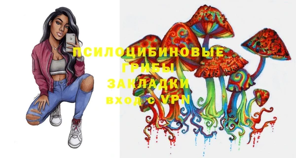 СК Горнозаводск